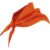 NARANJA FLUOR