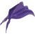 MORADO